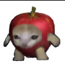 Applecat