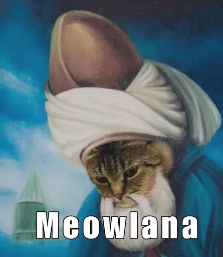 Meowlana