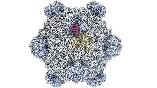 BACTERIOPHAGE logo