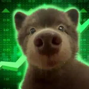 petflation