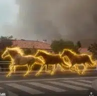 Horses — recently traded by Casino on Solana