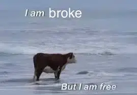 free