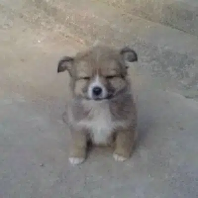 tired