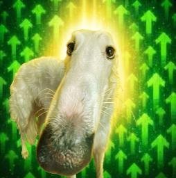 BORZOI