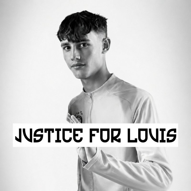 LOUIS  logo