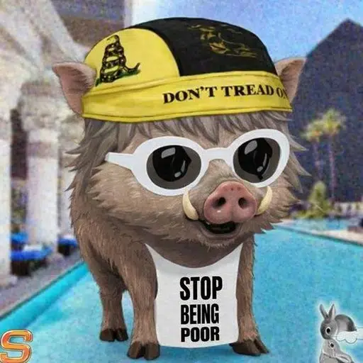 Boar