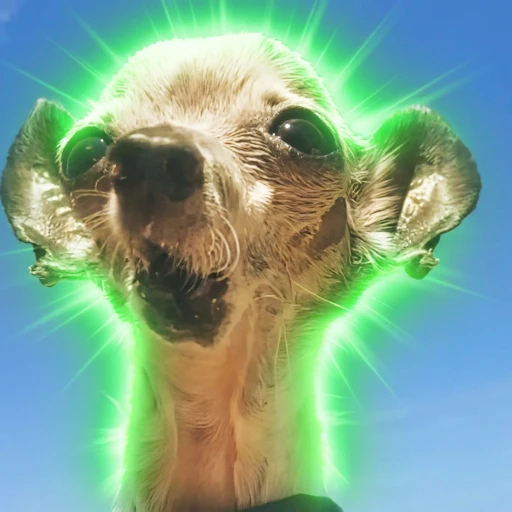 Pepe