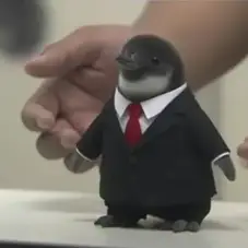 ふわふわ