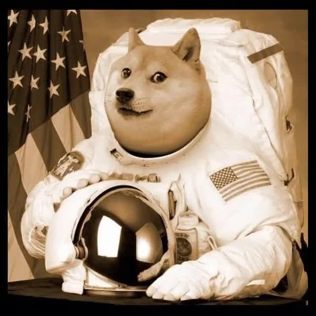 MOONDOGE