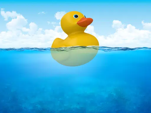FLOAT