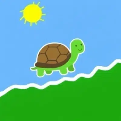 turtle
