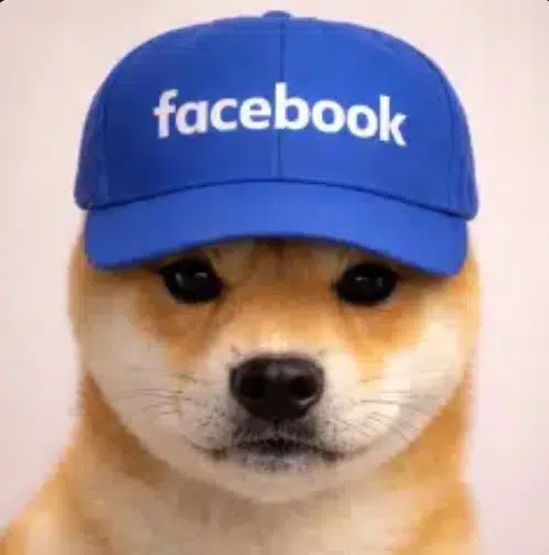 Facedog
