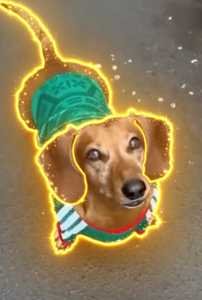 Beanie