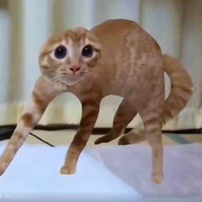 ScaredCat
