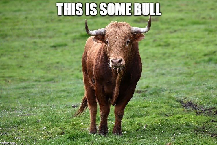 BULL logo