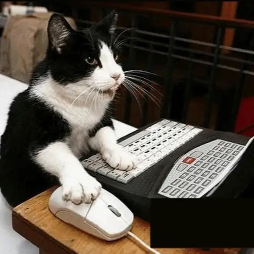 hashcat