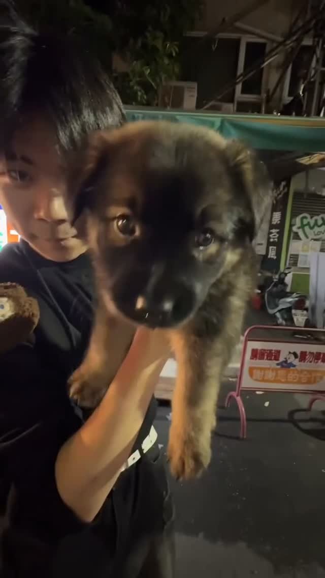 Pupjutsu