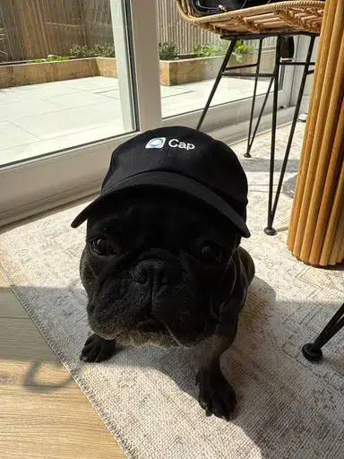 wif