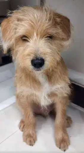 冬冬