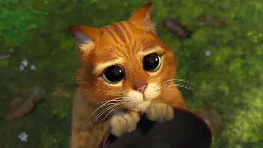 PUSS
