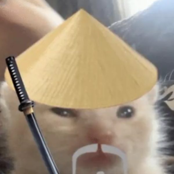 塞尔