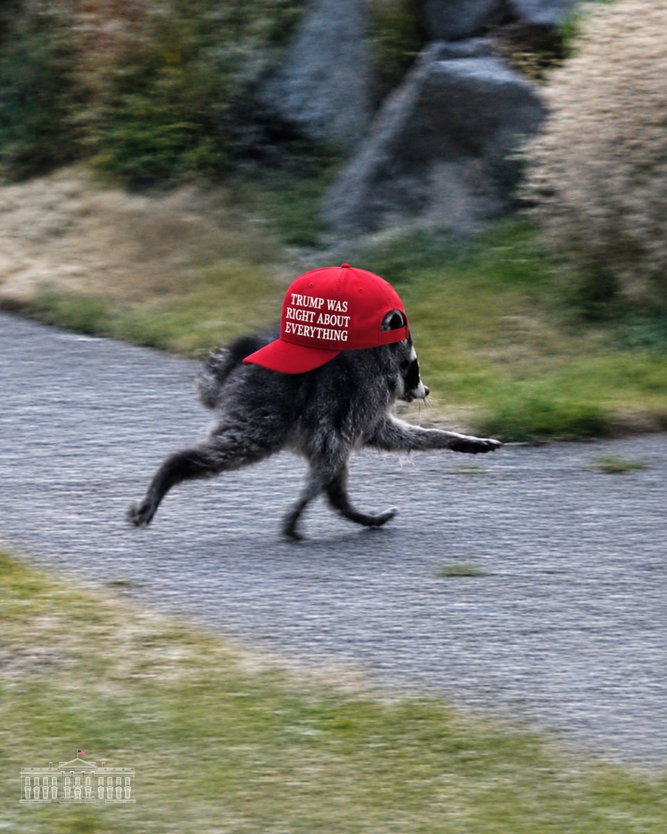 WIF