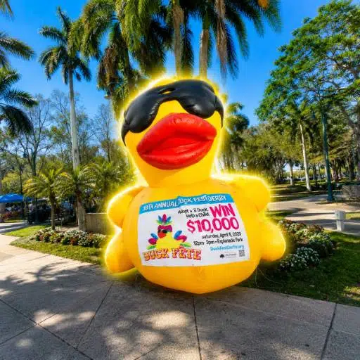 DUCK