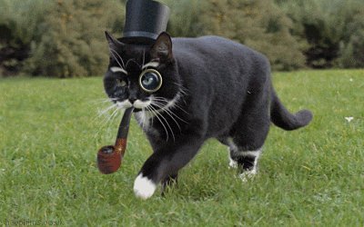 PIPECAT