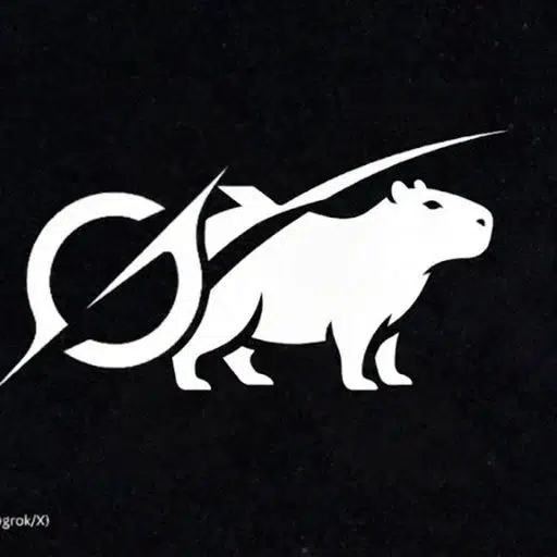 Grokkybara