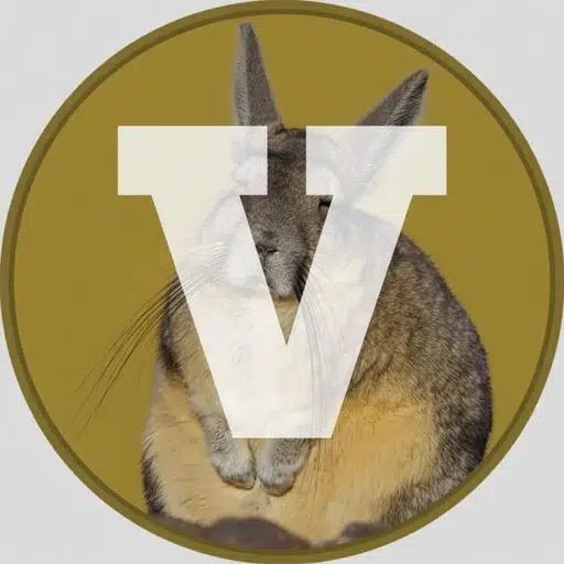 $Viscacha token logo