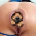 DOGINU