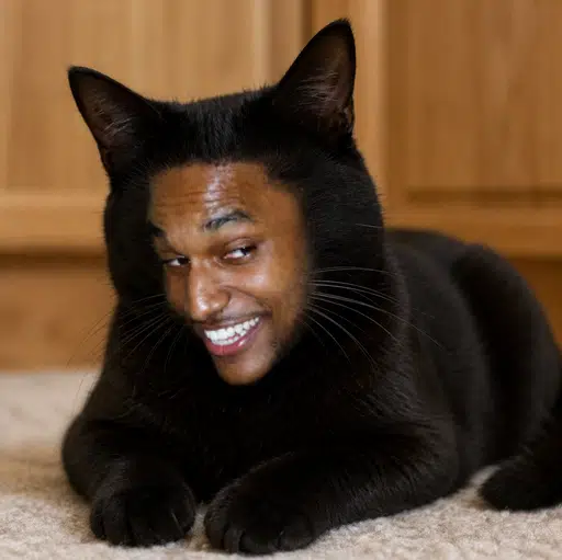 NIGGACAT