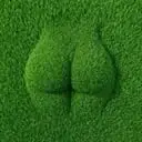 GRASS