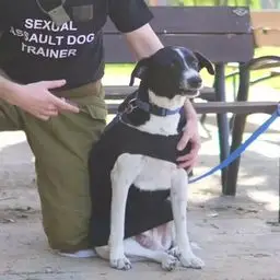 JEFFREY