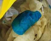 Chip