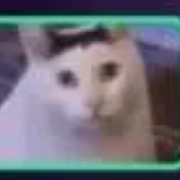 catfused.png — recently traded by Insyder on Solana