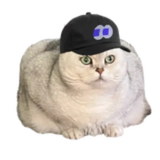 fomocat