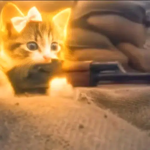 $ak47cat token logo