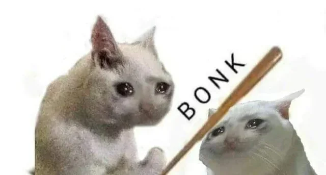 bonkcat