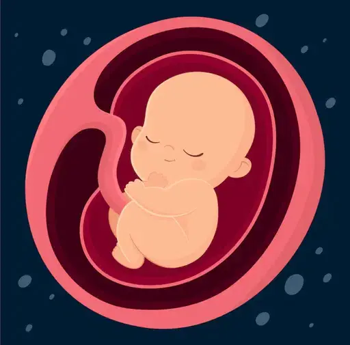 WOMB