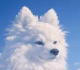 cloudy