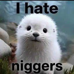 Niggers