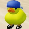 dude