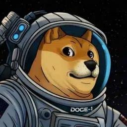 DOGE-1 — recently traded by Letterbomb on Solana