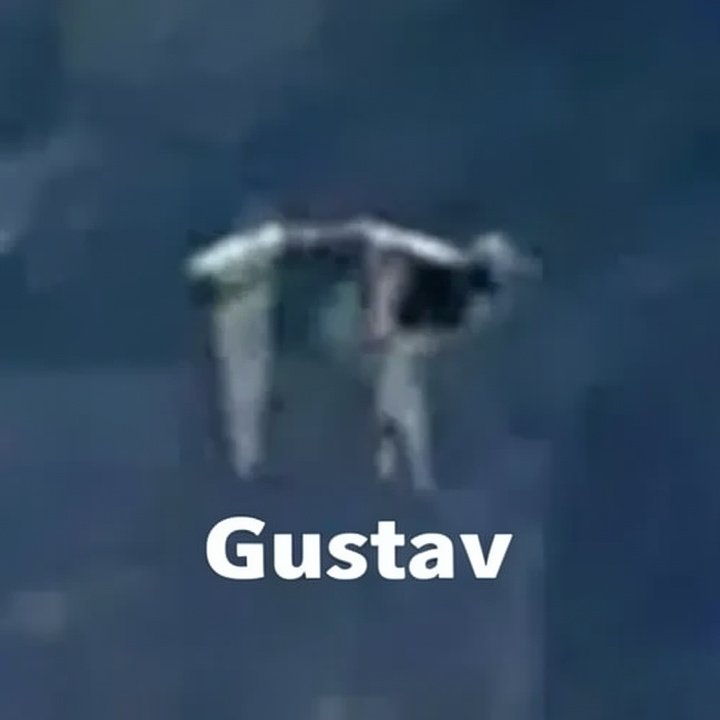 GUSTAV