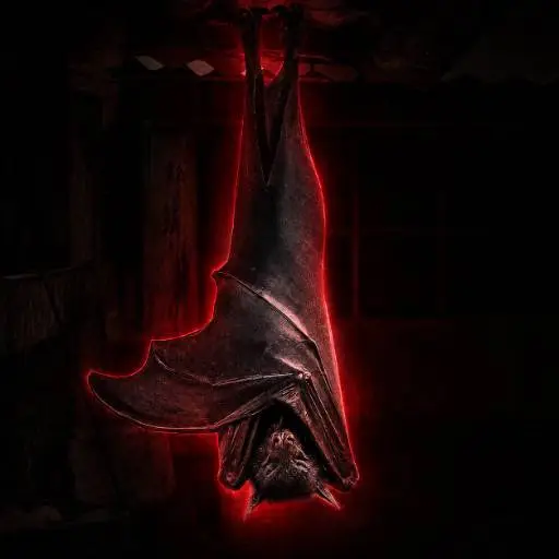 Vamp