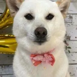 Omochi