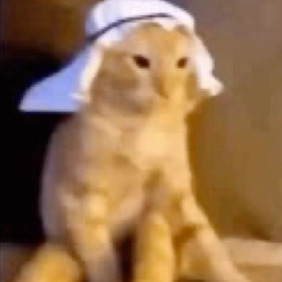 GINGER
