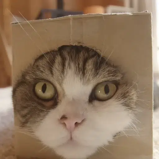 Maru