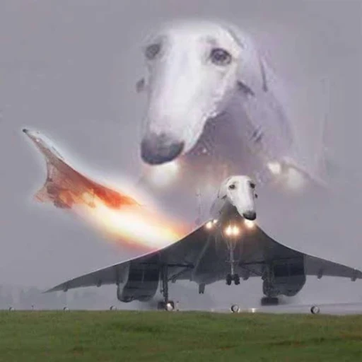 BORZOIPLANE logo